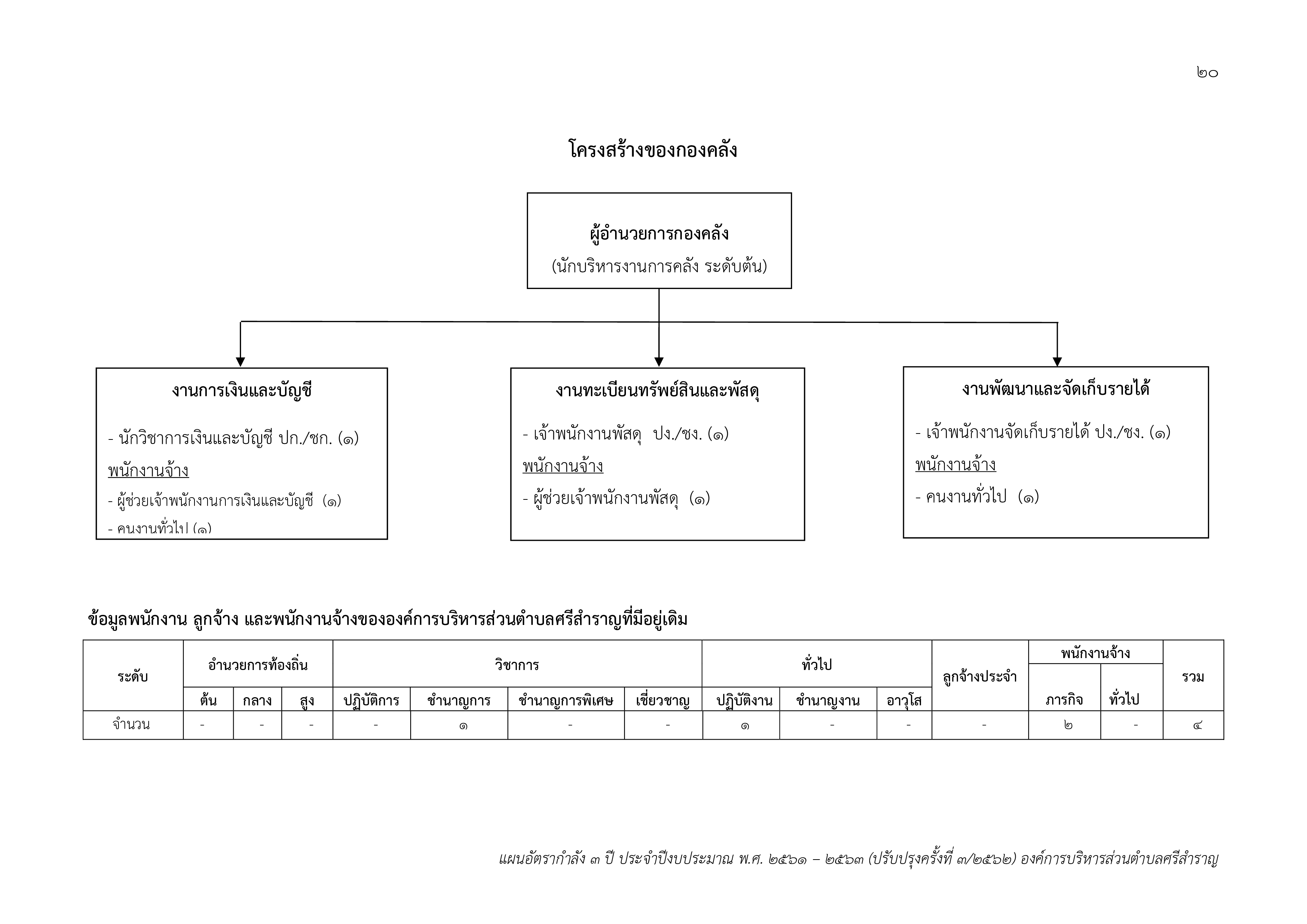 Organizational structure 003